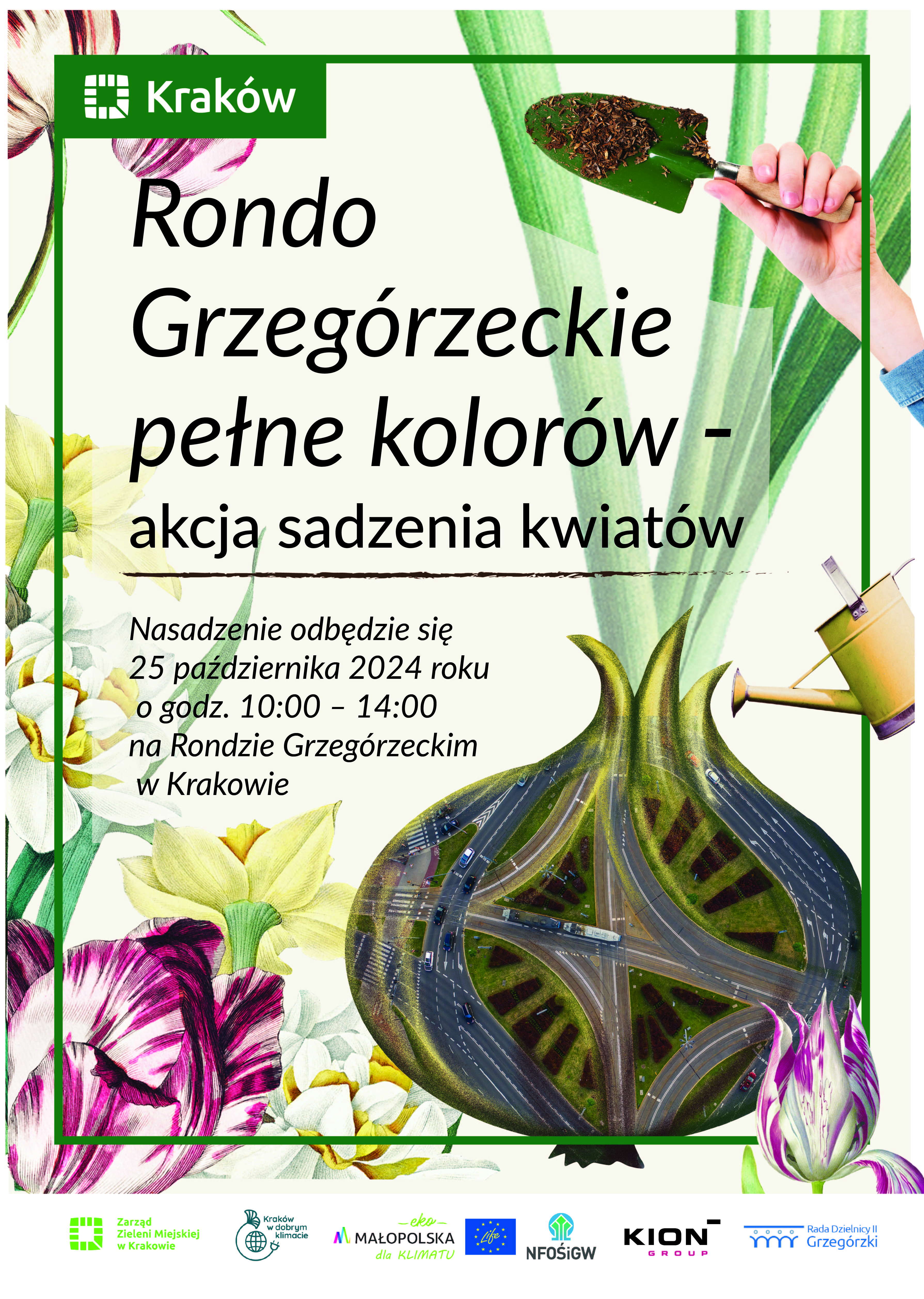 Wielkie sadzenie cebulek tulipanów i narcyzów na Rondzie Grzegórzeckim