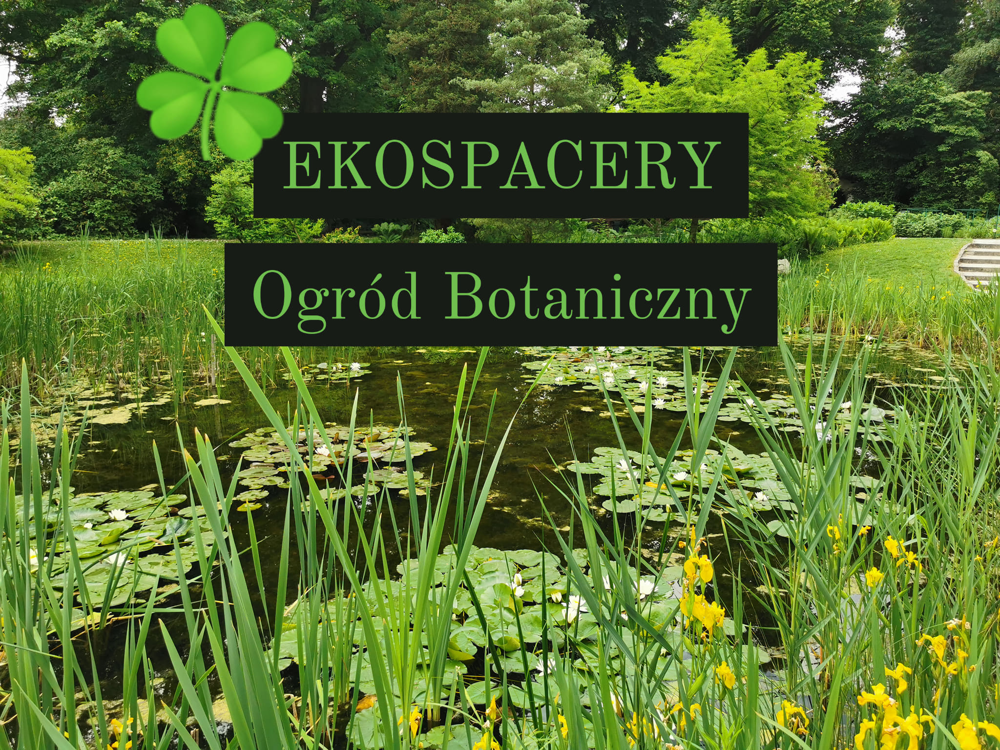 Ekospacery po Ogrodzie Botanicznym